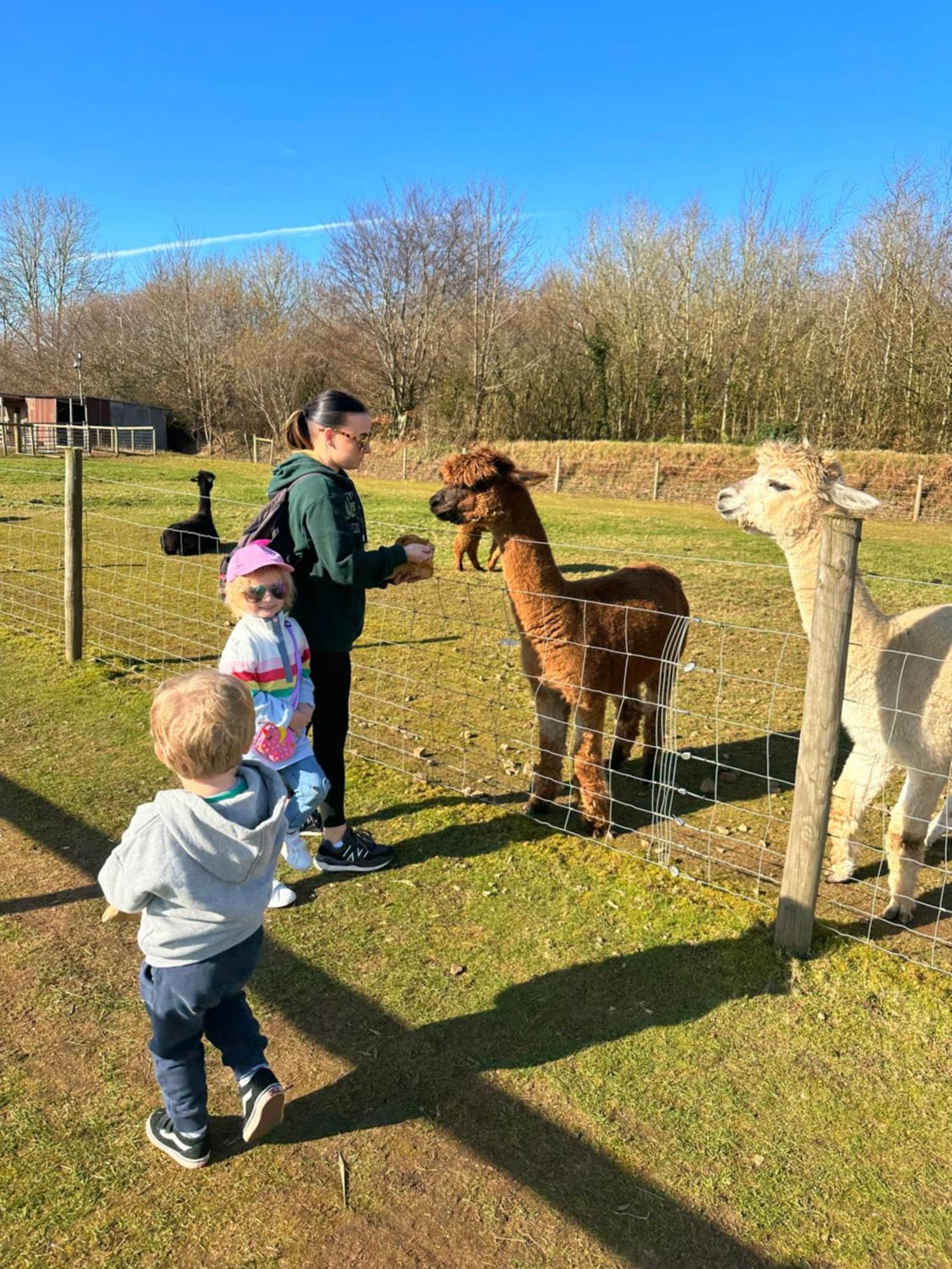 Glade Lodge- North Devon Coast, Bideford Bay Caravan Park Екстериор снимка